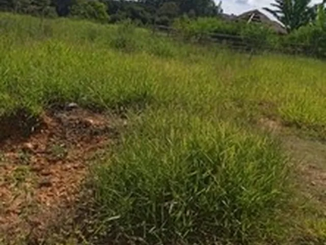 Imagem 3: Terreno Pedra Amarela em Jacutinga
