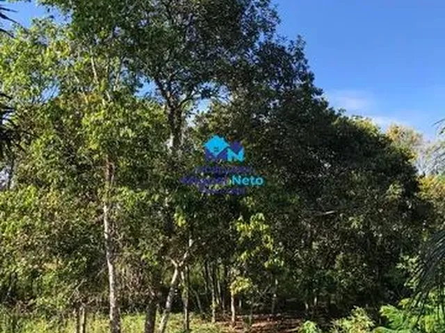 Imagem 16: Chácara com 8.000M2 Próximo À Cidade