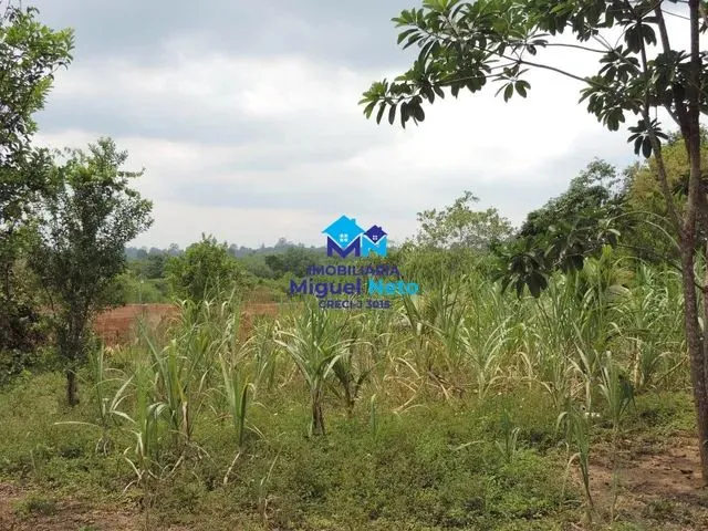 Imagem 3: Chácara com 8.000M2 Próximo À Cidade