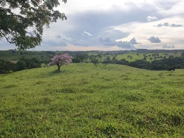 Imagem: Chácara