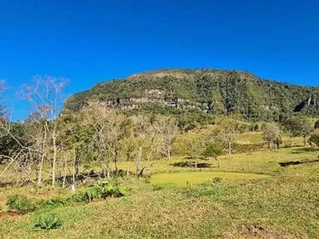 Imagem 3: Sitio em Alfredo Wagner- Serra Catarinense -60.000 M²