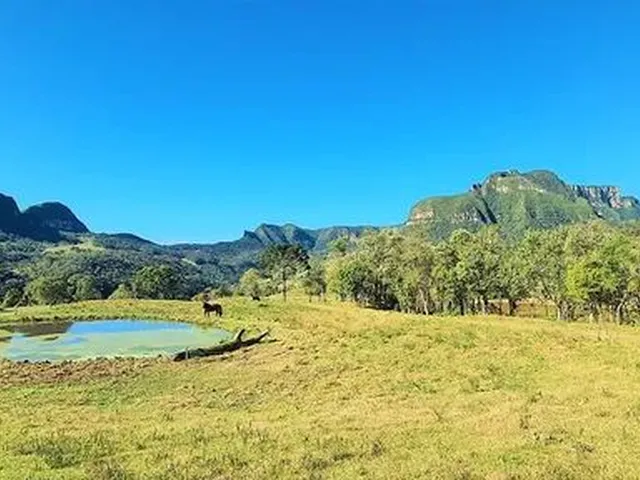 Imagem 5: Sitio em Alfredo Wagner- Serra Catarinense -60.000 M²