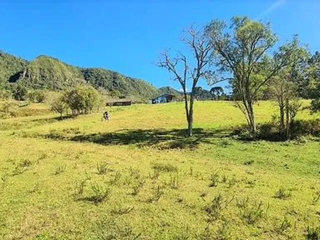 Imagem 11: Sitio em Alfredo Wagner- Serra Catarinense -60.000 M²