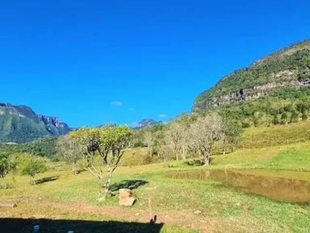 Imagem 16: Sitio em Alfredo Wagner- Serra Catarinense -60.000 M²