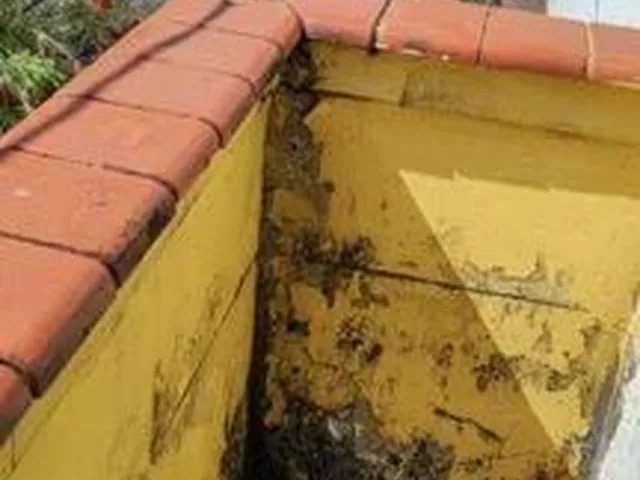 Imagem 3: Casa com 6 Dormitórios À Venda, 200 M² por R$ 900.000,00 - Serra - Belo Horizonte/Mg