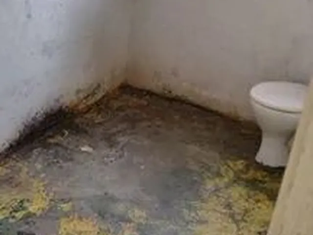 Imagem 16: Casa com 6 Dormitórios À Venda, 200 M² por R$ 900.000,00 - Serra - Belo Horizonte/Mg