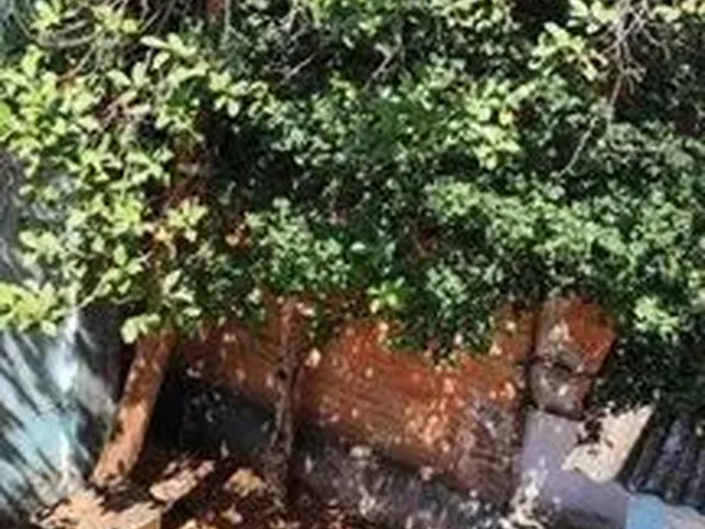 Imagem 4: Casa com 6 Dormitórios À Venda, 200 M² por R$ 900.000,00 - Serra - Belo Horizonte/Mg