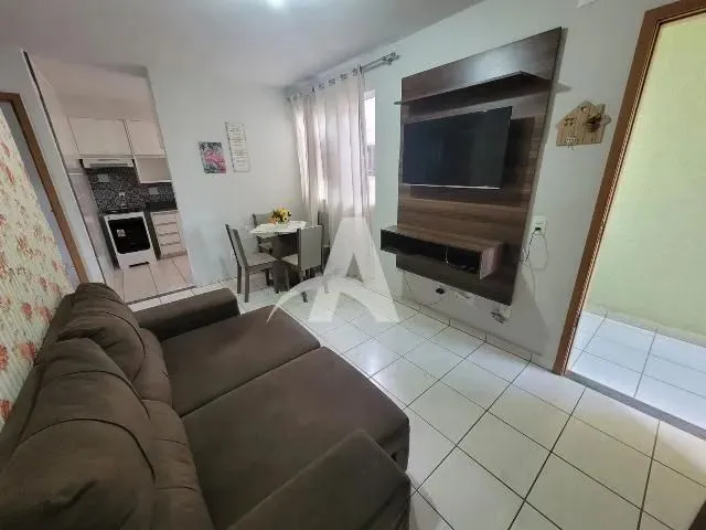 Imagem: Aluguel Apartamento Panorama