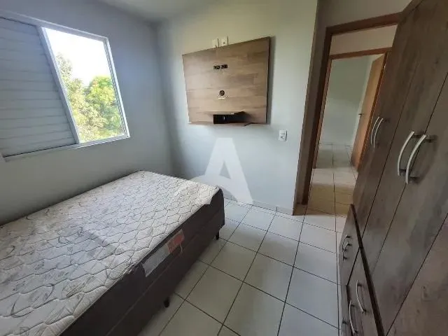 Imagem 6: Aluguel Apartamento Panorama