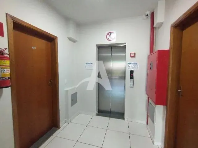Imagem 9: Aluguel Apartamento Jardim Celia