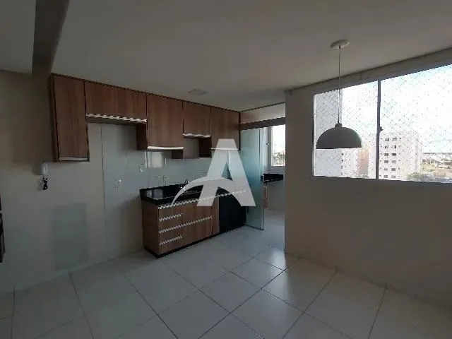 Imagem 5: Aluguel Apartamento Jardim Celia