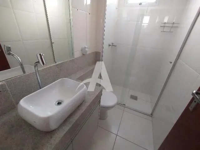 Imagem 11: Aluguel Apartamento Jardim Celia