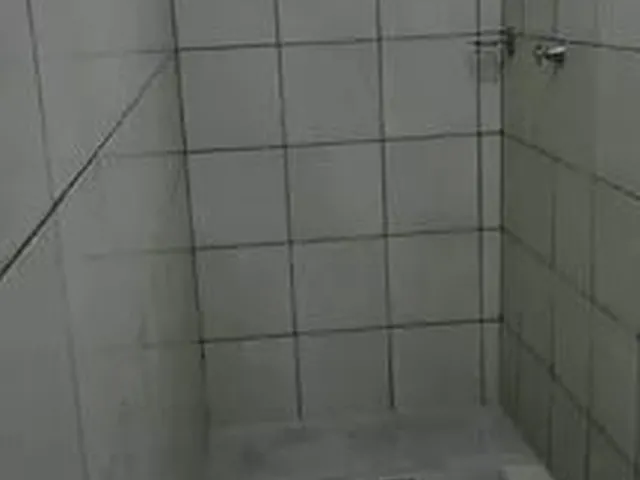 Imagem 15: Aluguel no Centro da Cidade Nova 4