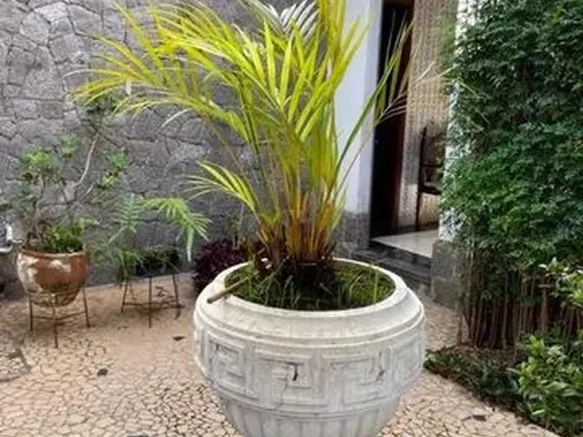 Imagem 16: Casa Térrea - Moema Índios - Sp