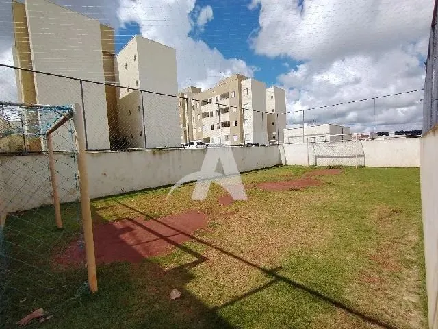 Imagem 6: Aluguel Apartamento Shopping Park