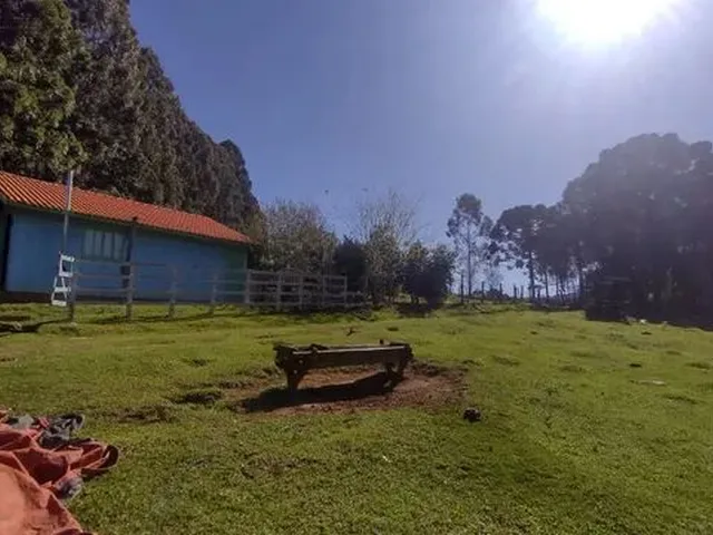 Imagem: !! Oportunidade Única - Lindo Sítio À