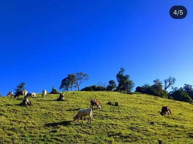 Imagem: Sítio em Tijucas do Sul