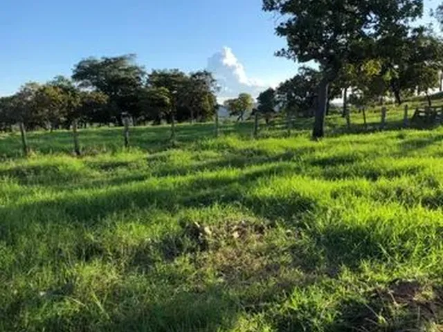 Imagem: Fazenda 307 Alqueires Município de Monte