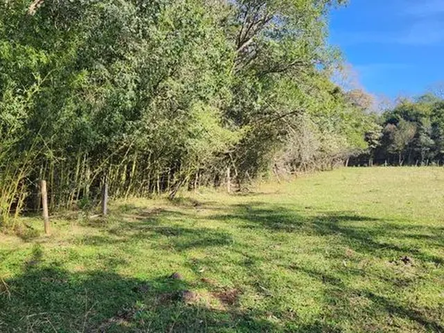 Imagem 6: Área de Terra Próximo Ao Centro Chapecó