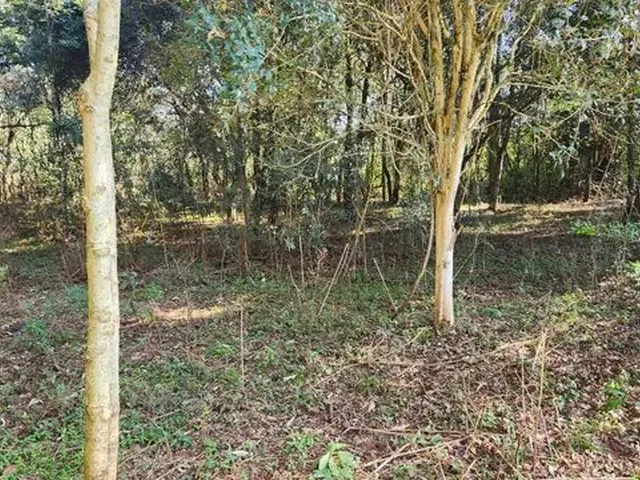 Imagem 3: Área de Terra Próximo Ao Centro Chapecó