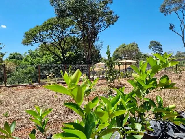 Imagem: Chácara Igarapé Varginha 1.210Mts