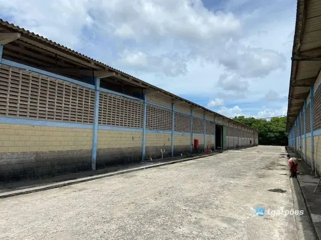 Imagem 3: Galpão com 280 M² Dentro de Condomínio Industrial/Logístico em Abreu e Lima - Pe