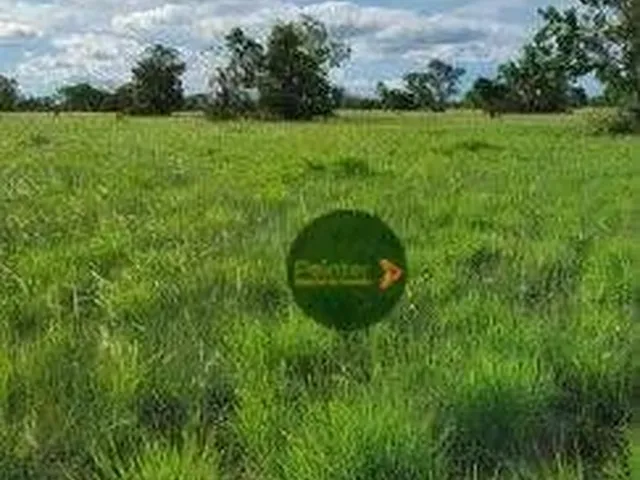 Imagem: Fazenda À Venda, M² por R$ 100.000.000