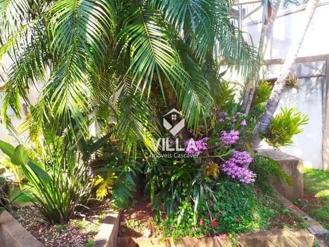 Imagem 4: Sobrado com 4 Dormitórios À Venda - Country - Cascavel/Pr