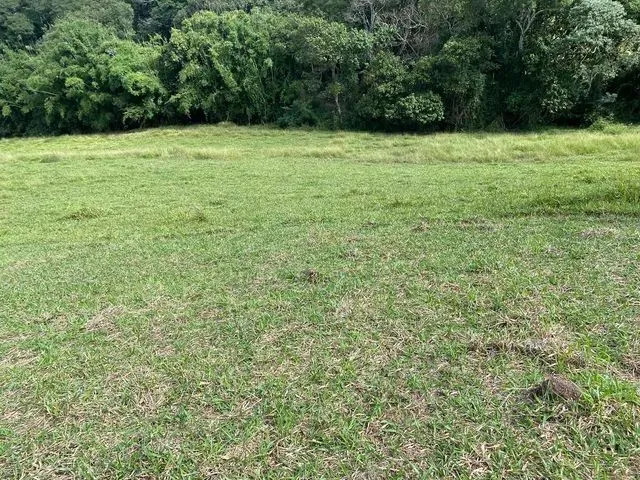 Imagem 11: Tb- Vendo Terreno Próximo de Comércios