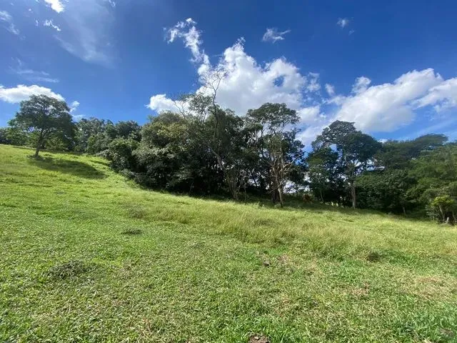 Imagem 10: Tb- Vendo Terreno Próximo de Comércios