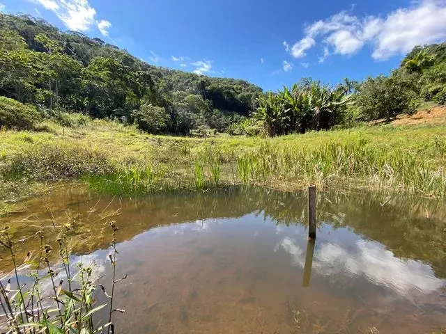 Imagem: Terreno com 20 Mil Metros - Marechal Floriano