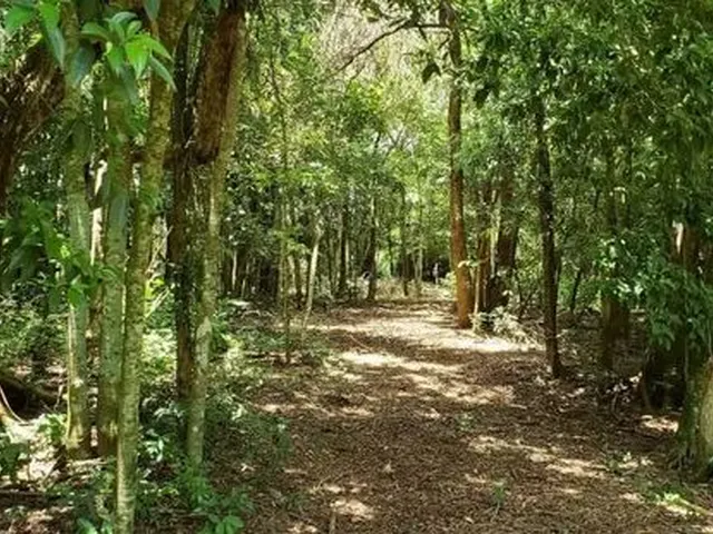 Imagem 2: Sítio de 2,00 Hectares (20.000,00 M2), com Área de Lazer Fechada, Lago, Fundos Rio