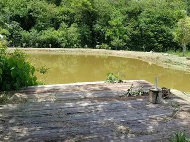 Imagem 5: Sítio de 2,00 Hectares (20.000,00 M2), com Área de Lazer Fechada, Lago, Fundos Rio