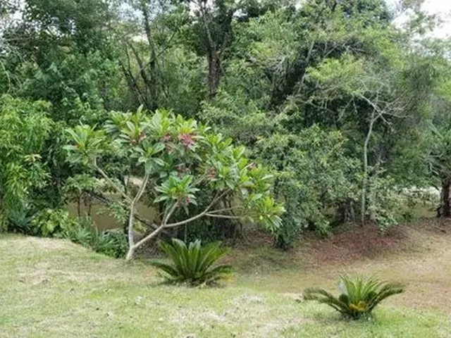 Imagem 4: Sítio de 2,00 Hectares (20.000,00 M2), com Área de Lazer Fechada, Lago, Fundos Rio