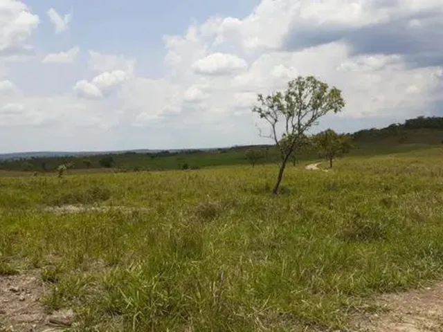 Imagem: . Uma Fazenda 764 Alqueires 78 Km de Pedro