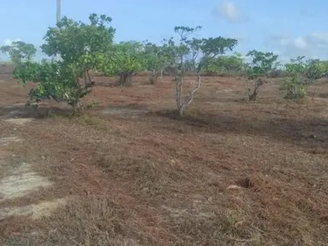 Imagem: Lotes em Sucatinga - Beberibe