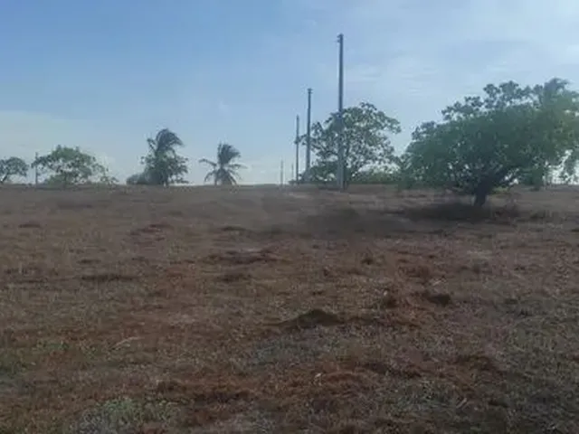 Imagem 9: Lotes em Sucatinga - Beberibe