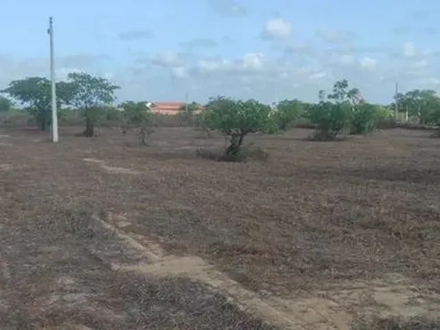 Imagem 7: Lotes em Sucatinga - Beberibe