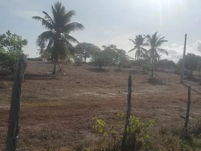 Imagem 8: Lotes em Sucatinga - Beberibe