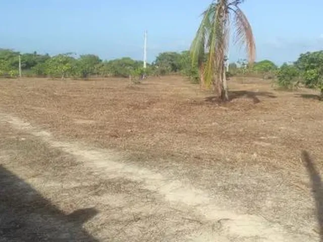 Imagem 5: Lotes em Sucatinga - Beberibe