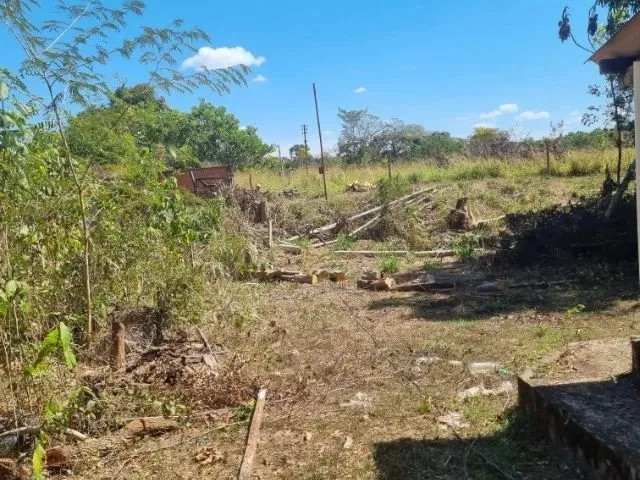 Imagem 7: Sitio 320Mil Reais.38 Km de Asfaltyo da Estrada de Jangada
