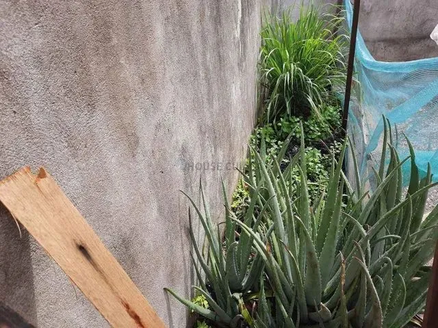 Imagem 3: Casa no Primeiro de Março, Cuiabá