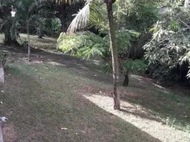 Imagem 5: Vendo Lotes Prox. a Itacimirim É Praia do Forte