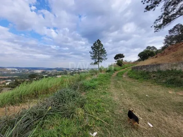 Imagem: Área - Marambaia - Vinhedo