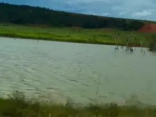 Imagem 6: Fazenda Á Venda em Paranatinga-Mt