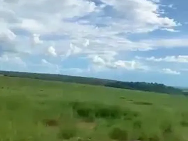 Imagem 4: Fazenda Á Venda em Paranatinga-Mt
