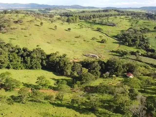 Imagem: Fazenda com Área de 32,5 Hectares Todo