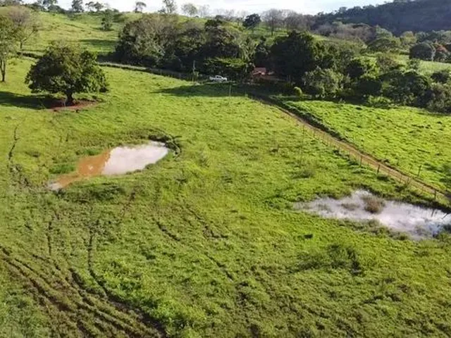 Imagem 2: Fazenda com Área de 32,5 Hectares Todo Formado com Lagoa e Ótima Cede em Itaúna/ Mg