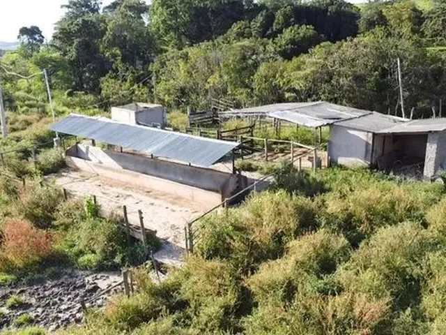 Imagem 9: Fazenda com Área de 32,5 Hectares Todo Formado com Lagoa e Ótima Cede em Itaúna/ Mg
