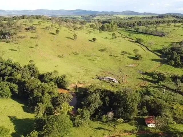 Imagem 15: Fazenda com Área de 32,5 Hectares Todo Formado com Lagoa e Ótima Cede em Itaúna/ Mg
